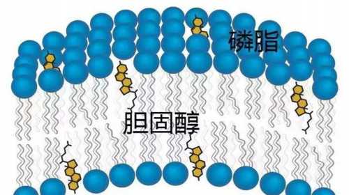 重庆医院供卵助孕怎么样,重庆市的试管婴儿专业医院有哪些？,试管重庆妇幼保