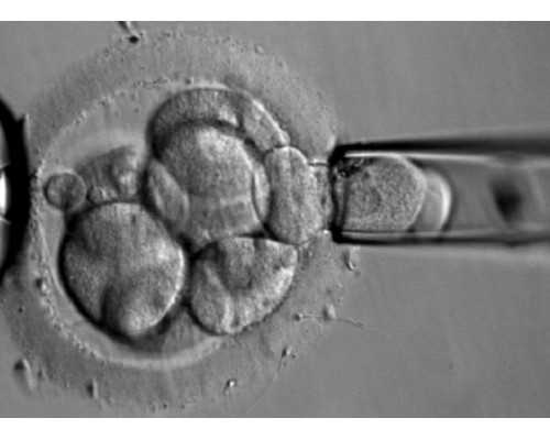 宝宝餐推荐：营养丰富的1-3岁儿童饮食建议