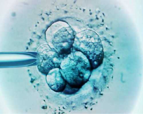 重庆医院收卵子吗,2024重庆妇幼试管三代费用是多少？_上海有没有供卵机构_为