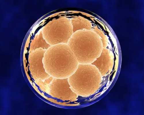 重庆代孕套餐价格表,试管婴儿移植后肚子疼14天去医院查血查尿查出怀孕了 给