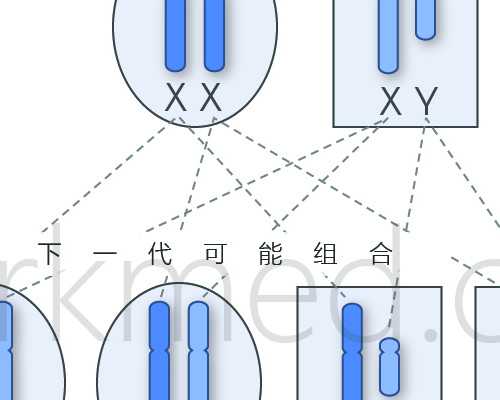重庆寻找助孕女子的地方,重庆北部妇产医院试管婴儿包成功的消息是真实的吗