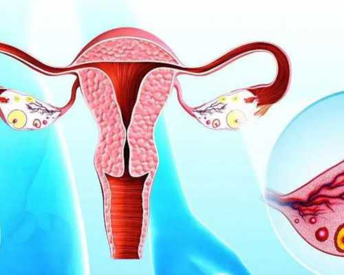 重庆供卵试管孩子费用,重庆助孕公司|重庆供卵试管医院|重庆试管供卵试管机构