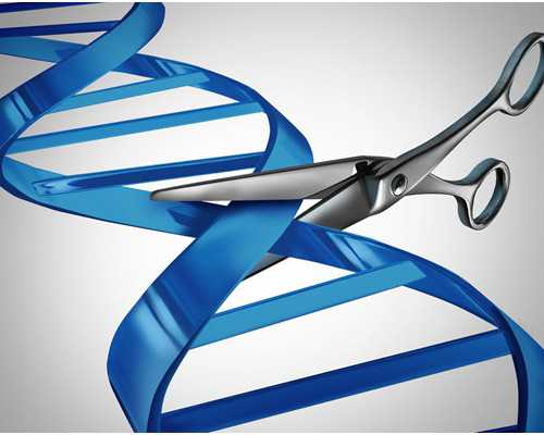 重庆私立供卵中心,重庆妇幼试管需要多久每个阶段的时间各不相同_上海试管婴