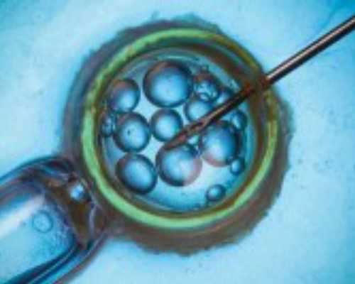 重庆医院提供卵子,重庆试管婴儿费用可以报销吗？可以使用医保扣款吗？_试管