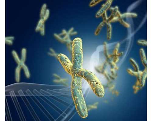 重庆生殖代生医院排名,输卵管积水在重庆妇幼保健院做试管，选哪个医生好？