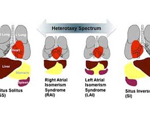 重庆供卵试管医院有哪些,重庆助孕公司|重庆供卵试管医院|重庆试管供卵试管机