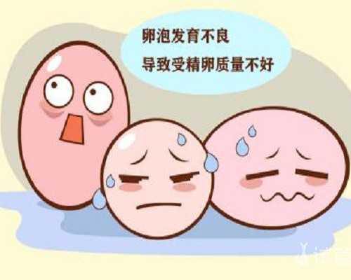 重庆代怀,南昌捐卵需要检查什么，重庆梅毒可以助孕吗，1个同性恋可以做泰国