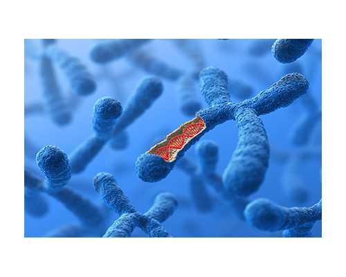 重庆最便宜的供卵试管,重庆助孕公司|重庆供卵试管医院|重庆试管供卵试管机构