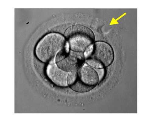 7个月宝宝吃奶量少正常吗