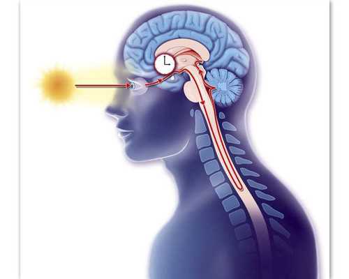 重庆试管生男孩,重庆做试管婴儿成功率比较高的医院在哪里