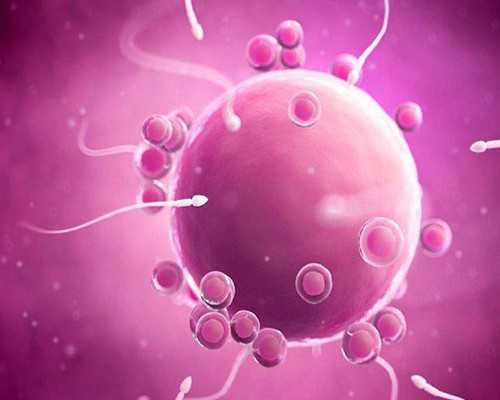 重庆生殖供卵门诊电话,重庆幸孕星信息科技有限公司怎么样？,重庆市泰孕健康