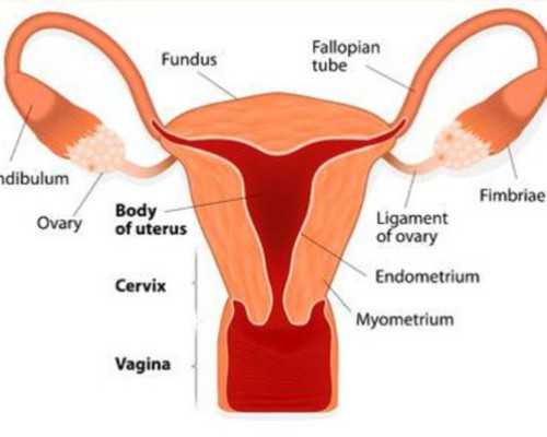 重庆供卵助孕咨询医生,重庆助孕公司|重庆供卵试管医院|重庆试管供卵试管机构
