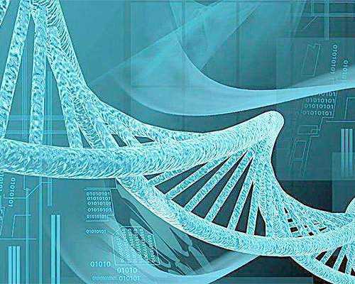 重庆助孕妈妈公司简介,揭秘2023年重庆三代试管婴儿私立医院排行榜！围观起来