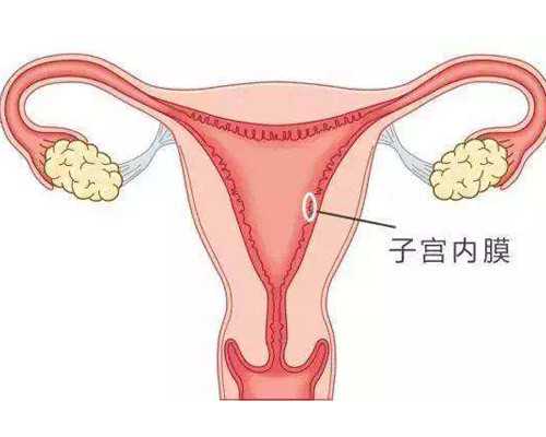 说话晚的孩子是聪明还是笨？专家介绍真相