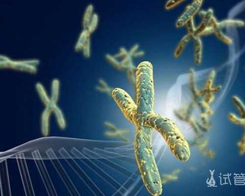 重庆借卵子供卵试管医院,重庆助孕公司|重庆供卵试管医院|重庆试管供卵试管机