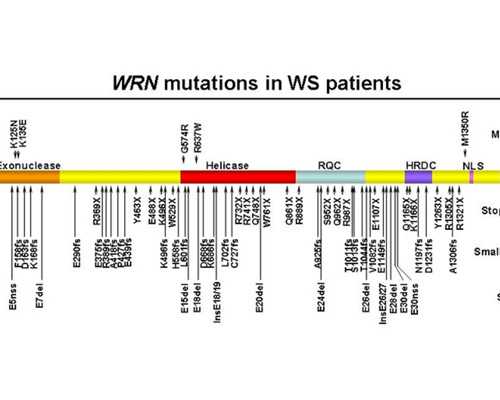 重庆女的找男的代孕电话|银川三代试管私人医院？广州助孕机构有哪些？
