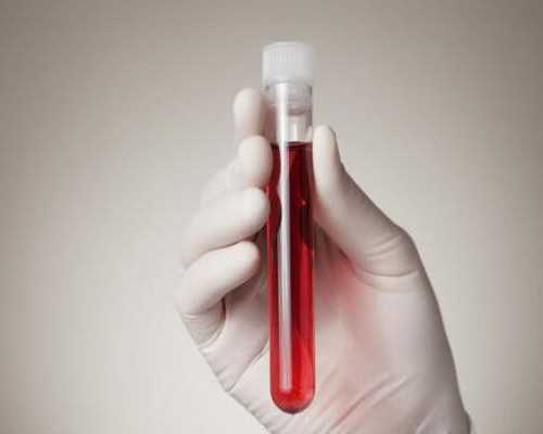 试管移植安琪坦和雪诺同成功率