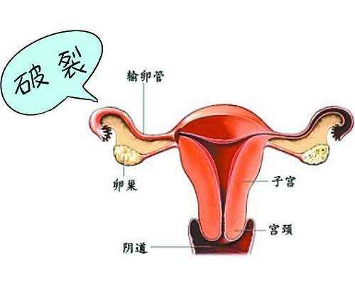 重庆知名代怀公司,上海一妇婴试管成功率怎么样？做试管婴儿痛苦吗？-二十周