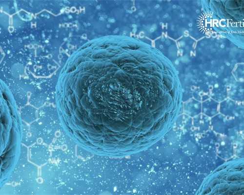 重庆靠谱代孕,重庆做试管婴儿最好的医院是哪个？希望各位给点建议。_移植后