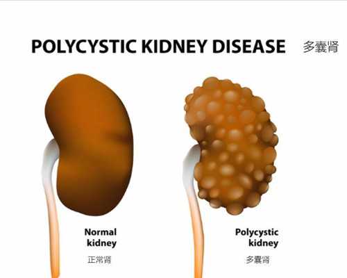 重庆供卵代生包双胞胎,重庆助孕公司|重庆供卵试管医院|重庆试管供卵试管机构