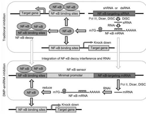 重庆供卵生孩子费用,重庆妇幼保健生殖科做试管婴儿一次成功的几率高吗?