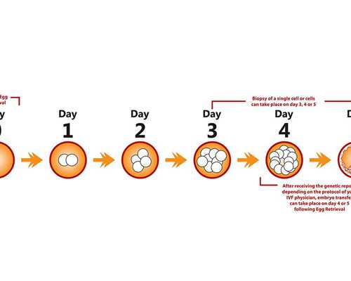 重庆借卵生子自怀,同种地贫可以做试管婴儿吗?优孕优生从这一刻_生化发现得早