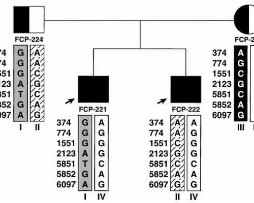 重庆代生包生女儿,北京大学第一医院做试管婴儿前要经历哪些检查流程？具体
