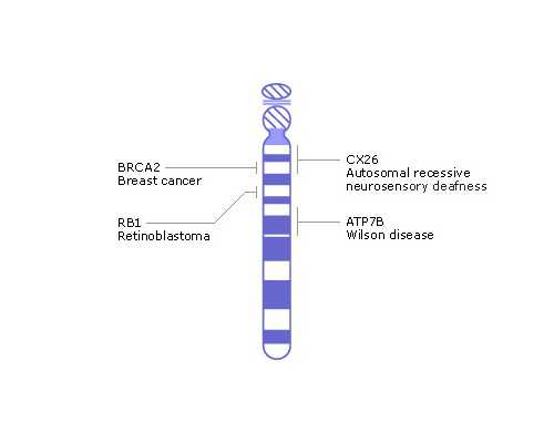 重庆有代孕医院么,在重庆有熟人试管能选男女吗？-医生说宝宝好看是男孩还是