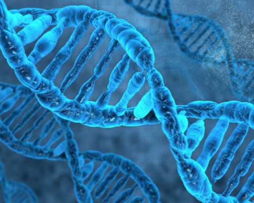 重庆代生客服电话,重庆三代试管婴儿费用明细是怎样的？