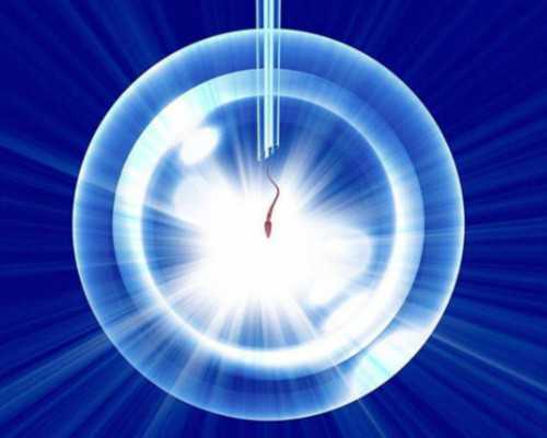 重庆供卵助孕贵不贵呀,重庆助孕公司|重庆供卵试管医院|重庆试管供卵试管机构