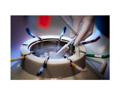 武汉正规代怀中心价格表 武汉做试管婴儿最好的医院排行榜 ‘nt头部看男女’