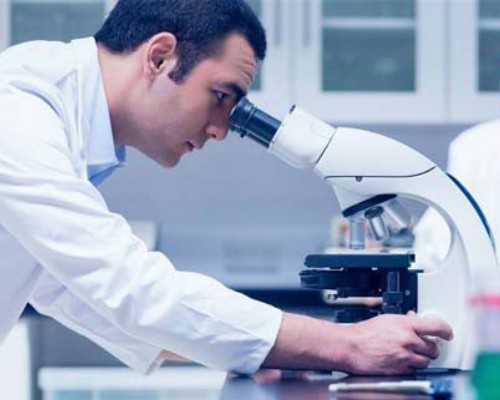 重庆助孕试管供卵费用,重庆渝中区公立幼儿园入园条件有哪些？要当地户籍吗