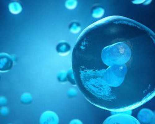 重庆私人代孕套餐,2023
年重庆做试管婴儿费用要多少钱？附私立试管婴儿医院价