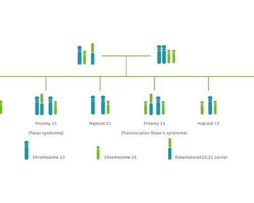 重庆供卵三代试管助孕费用,重庆助孕机构-重庆三代试管医院