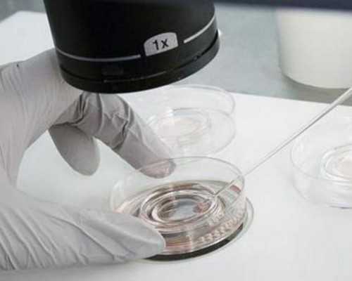 重庆咨询供卵试管费用,重庆助孕公司|重庆供卵试管医院|重庆试管供卵试管机构