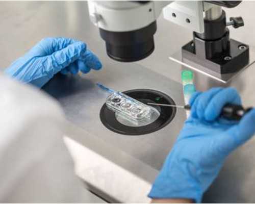 重庆试管代怀网站,【重庆哪个医院可以做供卵试管婴儿】接好孕啦，打算月底