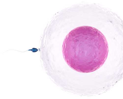 重庆助孕冻卵公司,孕妇第一次在湖南重庆妇幼医院建档的流程是什么？