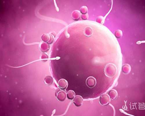 重庆代生专家,试管婴儿移植后饮食注意事项有哪些？该注意什么？_孕妇梦见在