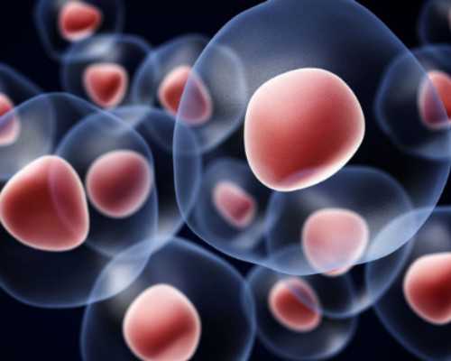 重庆哪里有代怀孕,上海瑞金医院做试管婴儿前建档的费用要多少？-上海供卵试