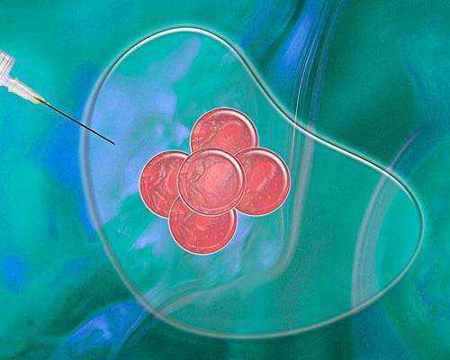 重庆医院能供卵试管婴儿吗,重庆助孕公司|重庆供卵试管医院|重庆试管供卵试管