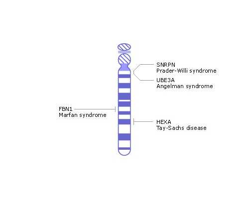 重庆助孕供卵代生,重庆做试管的医院排名！重庆做试管哪家最好！