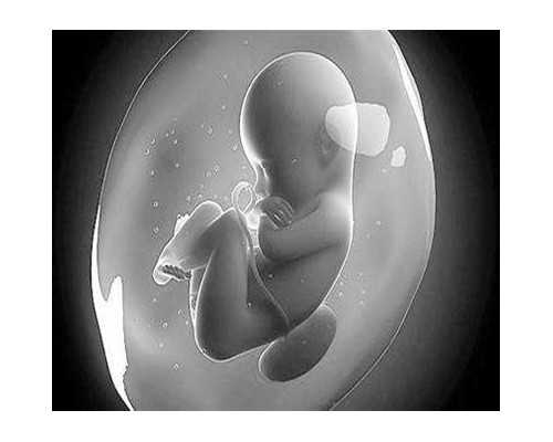 重庆口碑好供卵试管机构,重庆助孕公司|重庆供卵试管医院|重庆试管供卵试管机