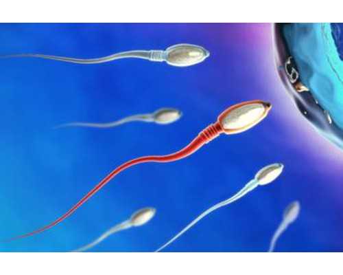 重庆代孕哪里靠谱,上海试管医院私人医生？黑豆助孕吃多久才有效？-上海私立