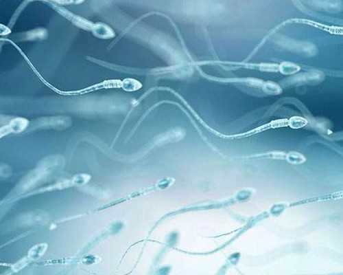 重庆代怀正规吗,重庆妇幼试管姐妹群（微信群QQ群），经验交流群！