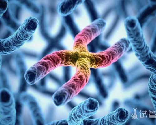 重庆供卵代怀费用报销,重庆助孕公司|重庆供卵试管医院|重庆试管供卵试管机构