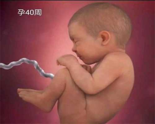 重庆有谁需要代孕的吗_重庆代孕中介多少钱_宝贝计划助孕公司-备孕期要改变哪