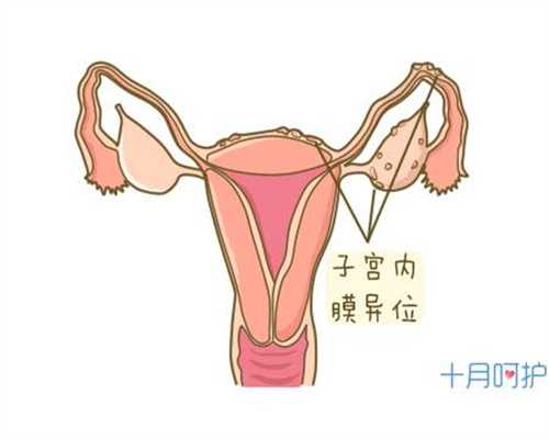 重庆哪里有代孕妇_重庆代孕技术成功率